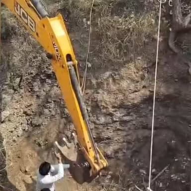 पचोर: दराना गांव में सुख कुआं में गिरी गाय, पुलिस और ग्रामीणों ने सुरक्षित बाहर निकाला