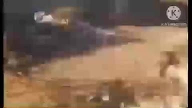 डीडवाना: छोटी खाटू में खाकी की मौजूदगी में खूनी खेल, कुलहाड़ियों से हमला, पुलिस बनी मूकदर्शक, वीडियो सोशल मीडिया पर हुआ वायरल