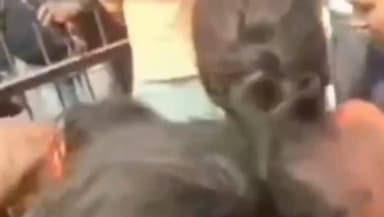 जलालगढ़: डांसर को बच्चा चोर समझकर ग्रामीणों ने बनाया बंधक, स्थानीय जनप्रतिनिधियों की सूझबूझ से बड़ी घटना टली