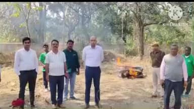 तालझारी: राजमहल काली घाट गंगा तट पर मृत डॉल्फिन मिलने से सनसनी, डीएफओ की मौजूदगी में हुआ अंतिम संस्कार