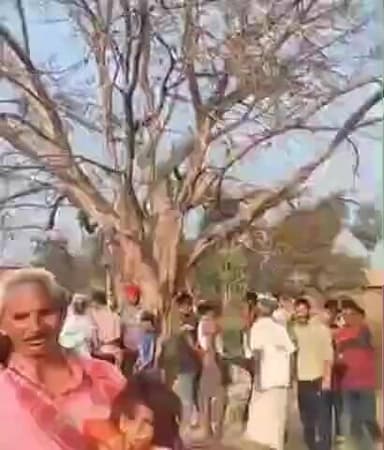 विभूतिपुर: टभका पंचायत में सूखा पेड़ काटने पहुंचे लोग, पेड़ से रिसने लगा पानी, जुटने लगी भीड़