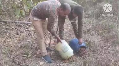 নিতুড়িয়া: অবৈধ মদ তৈরি ও বিক্রির বিরুদ্ধে নিতুড়িয়ার বিভিন্ন এলাকায় আবগারি দফতর অভিযান,১০লিটার মদ ও ১৪০লিটার তরল বাজেয়াপ্ত করল