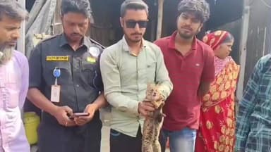 ইটাহার: এক মাসের ব্যবধানে ইটাহারের বালিজোল গ্রাম থেকে উদ্ধার লুপ্ত প্রায় গন্ধ গোকুল প্রাণী, চাঞ্চল্য এলাকায়