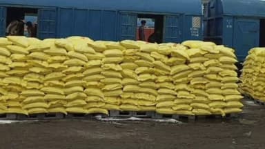 बड़वारा: बड़वारा व मझगवा की सरकारी खाद दुकानों पर पहुंचा यूरिया खाद, किसानों को जरूरत के अनुसार मिलेगी पर्याप्त खाद