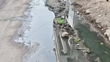 सोनकच्छ: गंधर्वपुरी में नाली की समस्या से परेशान ग्रामीण, सरपंच-सचिव से शिकायत के बाद भी नहीं हुआ समाधान