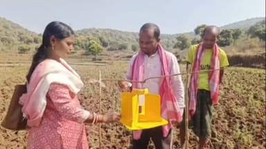 ପଟ୍ଟାଙ୍ଗୀ: ରାଜୁପୁଟ ପଞ୍ଚାୟତ ସଦରମହକୁମା ଚାଷ ଜମିରେ କୀଟନାଶକ ସୋଲାର ଲାଇଟ ବ୍ୟବହାର ନେଇ ସଚେତନତା କାର୍ଯ୍ୟକ୍ରମ ଯୋଗଦେଲେ ସରପଞ୍ଚ