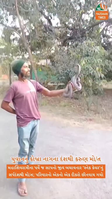 પારડીમાં કરુણાંતિકા: મહાશિવરાત્રીના પર્વે જ સાપનો જીવ બચાવનાર 'સ્નેક કેચર'નું સર્પદંશથી મોત; પરિવારનો એકનો એક દીકરો છીનવ...