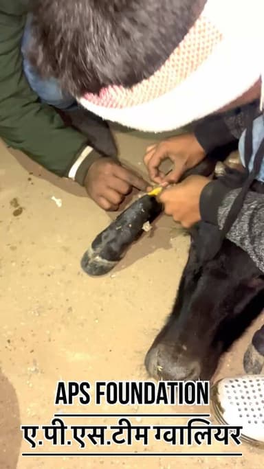 दिन हो या रात किसी की भी मदद करने के लिऐ ए.पी.एस टीम ग्वालियर सब की मदद के लिऐ रेडी है..!
Respect Girls help poor help animals
#apsgurjar