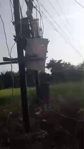 ग्राम गौरारी में ट्रांसफार्मर की केवल जल गई है और लाइट आ रही है खंबे में बिजली विभाग की लापरवाही