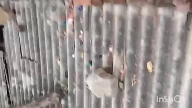 पीपलखूंट: आकाशीय बिजली का कहर, ठाकरा गांव में टिन शेड टूटा, चार मासूम हुए घायल