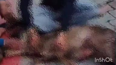 गढ़मुक्तेश्वर: गांव भगवानपुर में जख्मी हालत में घर के अंदर घुसा हिरण, जंगली जानवर या शिकारियों द्वारा हमले की आशंका