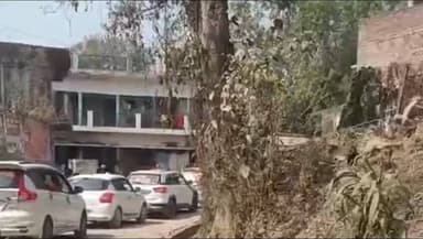 खजनी: बेलघाट में प्राण प्रतिष्ठा से पहले भव्य शोभा यात्रा, सैकड़ों लोग हुए शामिल, पुरा क्षेत्र राममय हुआ