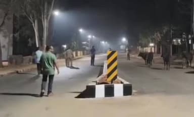 ಶಿರಸಿ: ನಗರದಲ್ಲಿ ಸುಗಮ ಸಂಚಾರಕ್ಕೆ ಅಡಚಣೆಯಾಗುತ್ತಿದ್ದ ಬಿಡಾಡಿ ದನಗಳನ್ನು ಕೊಂಡೆವಾಡಕ್ಕೆ ಸಾಗಿಸುವ ಕಾರ್ಯಾಚರಣೆ ಯಶಸ್ವಿ