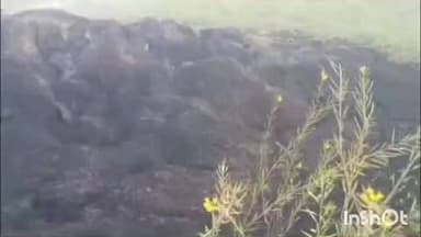 करपी: करपी निवासी अजीत शर्मा के खलिहान में असामाजिक तत्वों ने लगाई आग