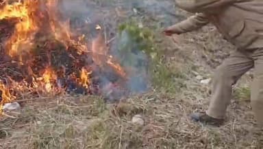 भटवाड़ी: उत्तरकाशी के कोटबंगला में फायर सीजन को लेकर किया गया मॉक अभ्यास, वन विभाग की आग बुझाने की तैयारी दिखी