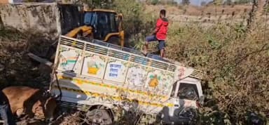 फरसाबहार: तपकरा में गौवंश तस्करी की बड़ी घटना, पिकअप पलटी, 3 गौवंशों की हुई मौत
