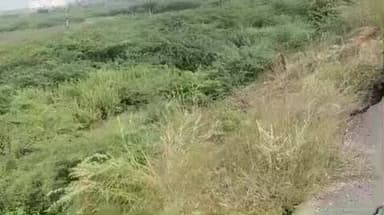 యర్రగొండపాలెం: కే కొత్తపల్లి గ్రామ సమీపంలోని చెరువు కట్ట రోడ్డు పై పొంచి ఉన్న పెను ప్రమాదం