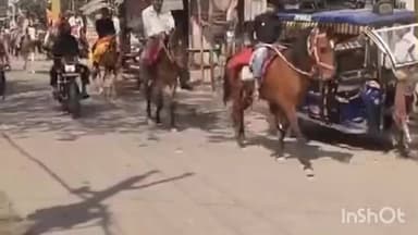 लहलादपुर: हरपुरकोठी में काली माता मंदिर की पुनः स्थापना पर भव्य कलश यात्रा