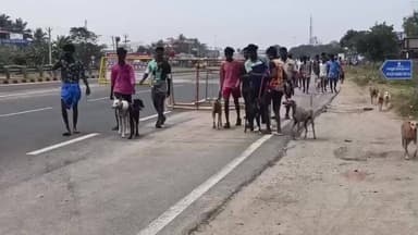 வேடசந்தூர்: கோவில் திருவிழா காலங்களில் வேட்டையாட செல்பவர்களை வனத்துறையினர் பிடிப்பதால் அய்யலூரில் சாலை மறியல்