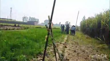 संभल: थाना नखासे के सिरसा नाल में तेंदुए की दहशत बरकरार, 20 घंटे से ज्यादा हो चुके हैं, पिंजरा और कैमरे लगे हैं