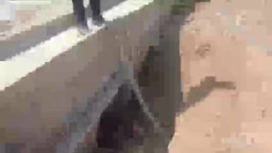 भैंसदेही: झल्लार पंचायत में नियमों को ताक पर रखकर बीना नाले पर बन रही पुलिया, ग्रामीणों ने की जांच की मांग