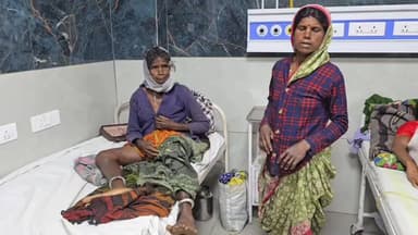 बैतूल: कल्याणपुर गांव के जंगल में बकरी चराने गई बुजुर्ग महिला पर जंगली सूअर का हमला, गंभीर रूप से घायल