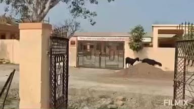 हदगाव: बनचिंचोली येथील झेडपी शाळेची जागा मूळ मालकाकडे; जिल्हाधिकाऱ्यानी शाळेच्या जागेचा प्रश्न मार्गी लावावा -खा.आष्टीकर