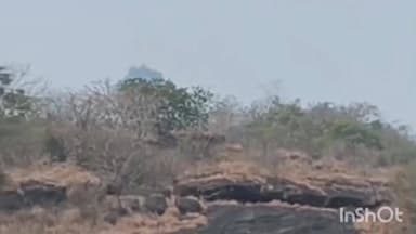 ತೀರ್ಥಹಳ್ಳಿ: ಬಾಳೆಬೈಲಿನ ಸಮೀಪದ ಸಿದ್ದೇಶ್ವರ ಗುಡ್ಡದಲ್ಲಿ ಹೊಂದಿಕೊಂಡ ಬೆಂಕಿ