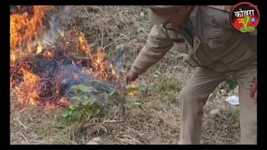 उत्तरकाशी जनपद में वनाग्नि को लेकर जिला आपदा प्रबंधन और वन विभाग के किया अभ्यास
रिपोर्ट भूपेंद्र रावत
#uttarakhandne...