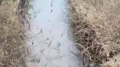 కావలి: నీటమునిగిన వరి పొలాలు...గగ్గోలు పెడుతున్న రైతులు