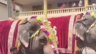 ಶೃಂಗೇರಿ: ವಿಜೃಂಭಣೆಯಿಂದ ಜರುಗಿದ ಭವಾನಿ ಮಲಹಾನಿಕರೇಶ್ವರ ಸ್ವಾಮಿ ರಥೋತ್ಸವ