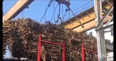 प्रतापपुर: प्रेमनगर: मां महामाया सहकारी शक्कर कारखाना केरता में गन्ना पेराई की अंतिम तिथि 21 फरवरी तक निर्धारित