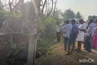 జూలూరుపాడు: పినపాక మండల పరిధిలోని కొత్త రెడ్డిపాలెం గ్రామానికి చెందిన రైతు సంజీవరెడ్డికి చెందిన పాడేగెద విద్యుత్ షాక్ తో మృతి