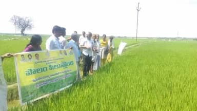 ధర్మవరం మండలం గొట్లూరులో పొలం పిలుస్తోంది కార్యక్రమం