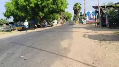 திருவாடனை: தொண்டி நோக்கி கிழக்கு கடற்கரைச் சாலையில் கல்லூரி வேன் - லாரி நேருக்கு நேர் மோதல்: ஓட்டுநர் படுகாயம்