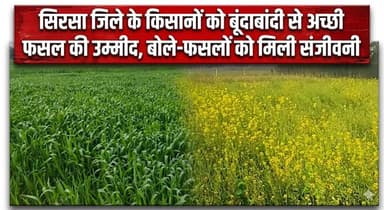 सिरसा जिले के किसानों को बूंदाबांदी से अच्छी फसल की उम्मीद, बोले-फसलों को मिली संजीवनी
#Sirsa #HaryanaFarmers #Rainfall ...