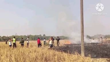 তিতাবৰ: তিতাবৰৰ বজালবাৰী পথাৰত অগ্নিকাণ্ড , কোনো দুৰ্বৃত্তই পথাৰৰ শুকান নৰাত জুই লগাই পলায়ন কৰে