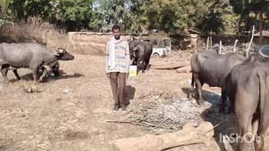 जैतपुर: जैतपुर के झींक बिजुरी जंगल में मवेशियों की तस्करी करते एक व्यक्ति गिरफ्तार, 6 मवेशी बरामद