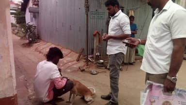 வேடசந்தூர்: கோவிலூரில் வளர்ப்பு நாய்களுக்கு ரேபிஸ் தடுப்பூசி போட்ட கால்நடை மருத்துவர்கள்