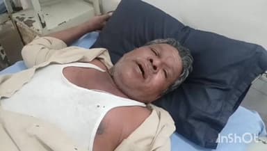 લાઠી: લાઠીના ઝરખીયા ગામે ઝેરી મધમાખીઓનો હુમલો, અનેક લોકો ઇજાગ્રસ્ત