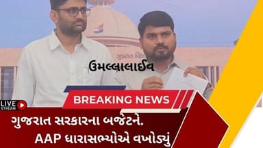 બજેટ ખેડૂતો, યુવાનો અને સામાન્ય લોકો માટે નિરાશાજનક: ચૈતર વસાવા