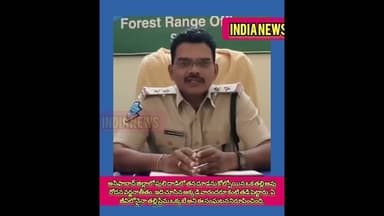 అసిఫాబాద్ పులి దాడిలో తనదూడను కోల్పోయిన ఒక తల్లి ఆవు రోదన వర్ణనాతీతంఏ జీవిలోనైనా తల్లి ప్రేమ ఒక్కటే