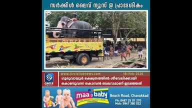 ഗുരുവായൂരിൽ ആനയിടഞ്ഞു; ക്ഷേത്രത്തിൽ ശീവേലിക്കായി കൊണ്ടുവന്ന കൊമ്പൻ ബലറാമാണ് ഇടഞ്ഞത്