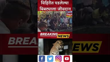 इन्सुलीत बिबट्याची उडी विहिरीत;वनविभागकडून सुखरूप सुटका