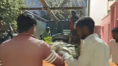 चकिया: नसरथा में जंगली सुअर के हमले में वृद्ध महिला-पुरुष गंभीर रूप से घायल, ट्रामा सेंटर वाराणसी रेफर