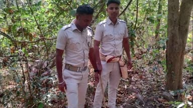 ଅମ୍ବାଭୋନା: ଦେଖୁଳିଆ ଗ୍ରାମ ନିକଟରେ ବିପୁଳ ପରିମାଣରେ ମହୁଲପୋଚ ଓ ରନ୍ଧା ମଦ ଜବତ କଲା ଭଟଲି ଅବକାରୀ bibh