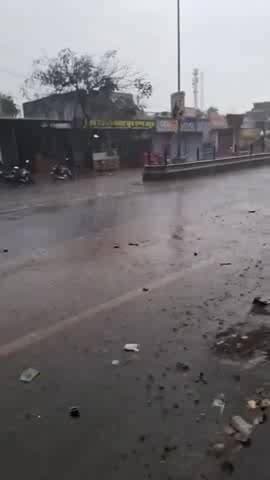 लालसोट: लालसोट क्षेत्र में दिनभर की बारिश ने किसानों की चिंता और सर्दी बढ़ाई, तेज हवा से खेतों में गेहूं की फसल हुई आड़ी