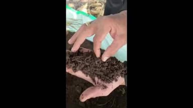 માણાવદર: પ્રાકૃતિક ખેતીનો અનુરોધ કરતાં બિપિનભાઇ મોરણીયા