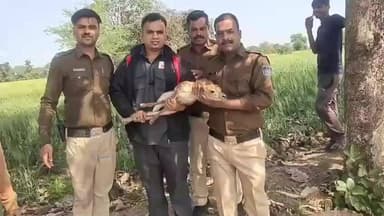 देवलचौरी–
#सेमरा #घाट रोड, जैसीनगर क्षेत्र में कुएं में गिरे हिरण के शावक को #Dial112 टीम ने साहसिक रेस्क्यू कर नया जीवन...