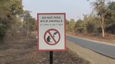 मानपुर: बांधवगढ़ में चेतावनी के बाद भी वन्यजीवों को दी जा रही खाद्य सामग्री, दुर्घटना की आशंका